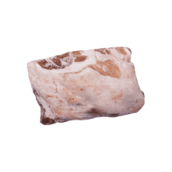 AGNS0038