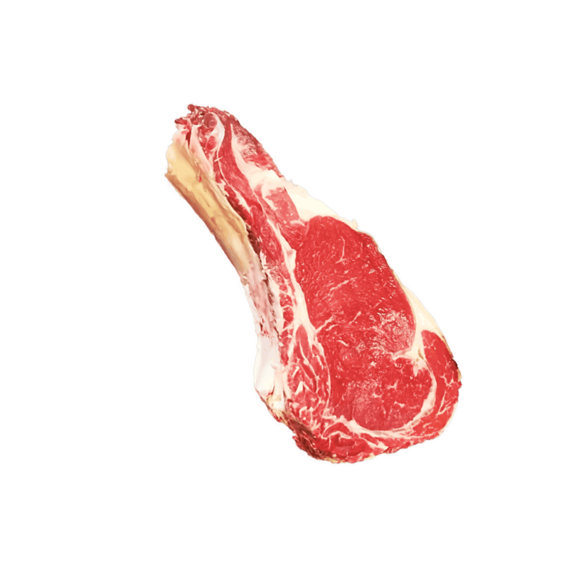 BOEF0095
