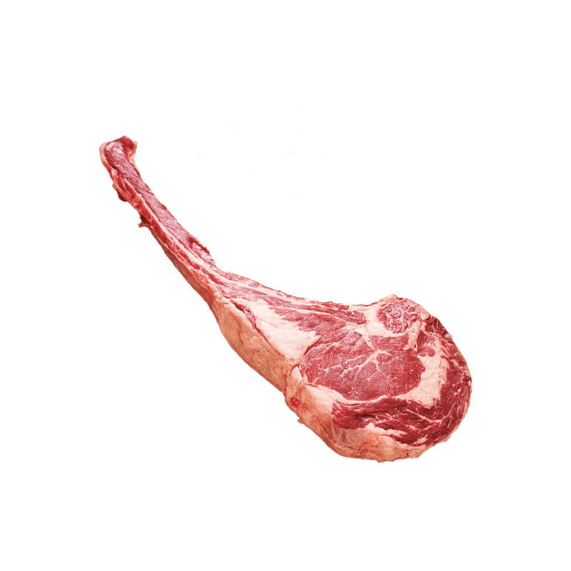 BOEF0206